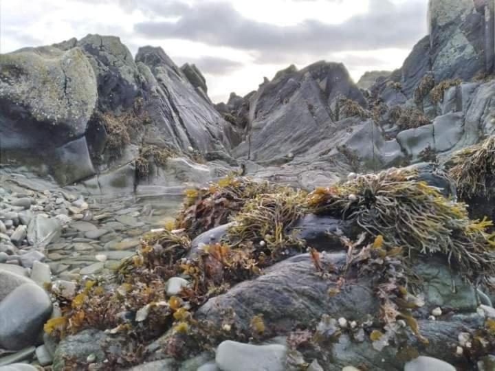 Port Lodge Northern Ireland Portaferry Dış mekan fotoğraf